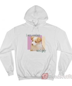 Dog I Am Useless And Gay Puppy Meme Hoodie