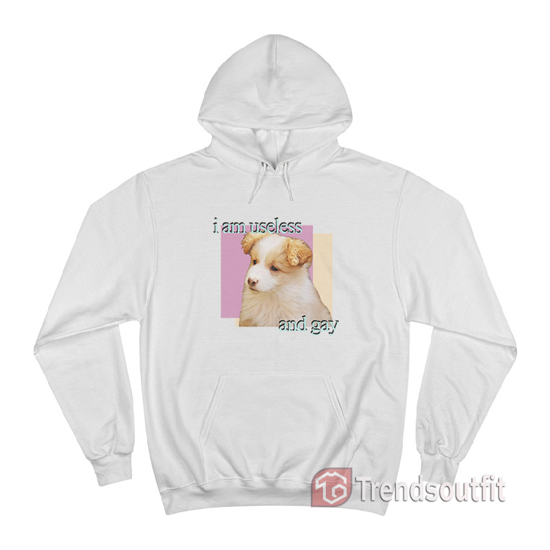 Dog I Am Useless And Gay Puppy Meme Hoodie