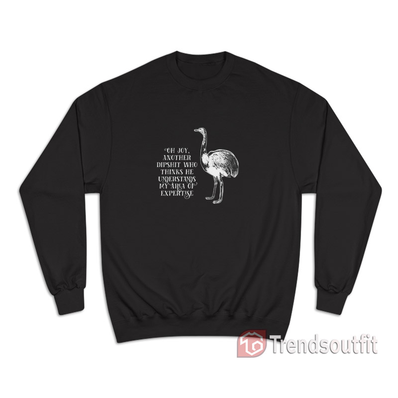 Oh Joy Another Dipshit Who Thinks He Understands My Area Of Expertise Sweatshirt