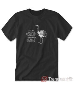 Oh Joy Another Dipshit Who Thinks He Understands My Area Of Expertise T-Shirt