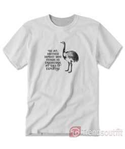 Oh Joy Another Dipshit Who Thinks He Understands My Area Of Expertise T-Shirt
