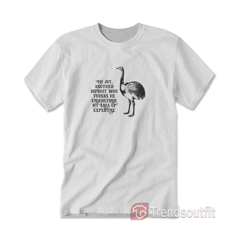 Oh Joy Another Dipshit Who Thinks He Understands My Area Of Expertise T-Shirt