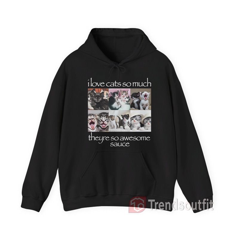 I Love Cats So Much Theyre So Awesome Sauce Hoodie