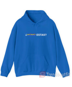 Homo Estas LGBTQ Hoodie