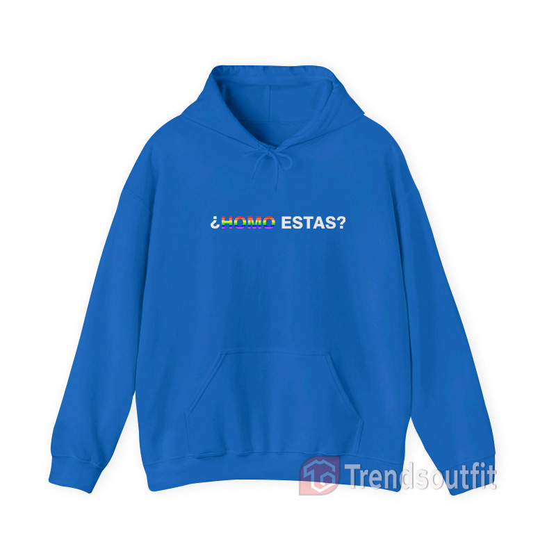 Homo Estas LGBTQ Hoodie