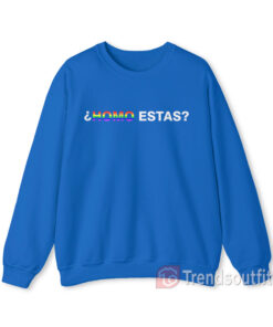 Homo Estas LGBTQ Sweatshirt