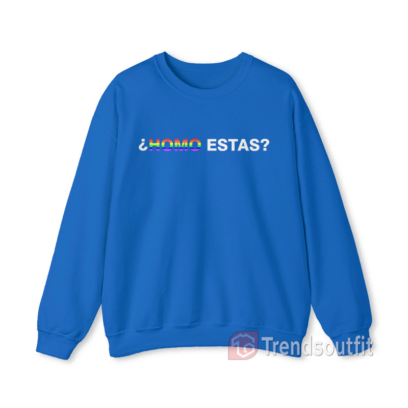 Homo Estas LGBTQ Sweatshirt